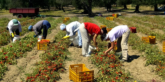 [Foto notizia in primo piano]