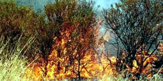 [Foto notizia in primo piano]