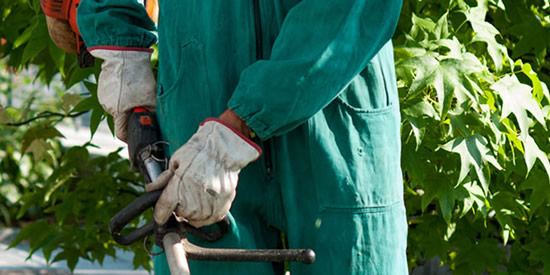 [Foto notizia in primo piano]