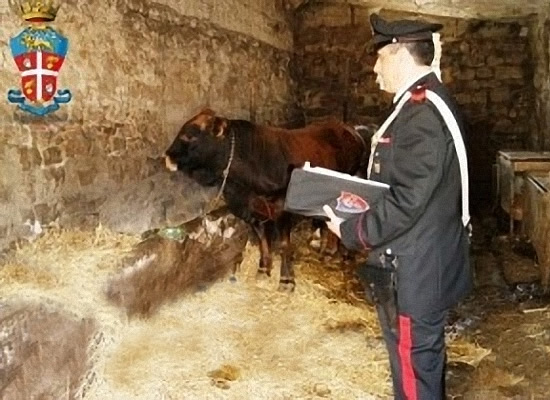 Foto n. 2