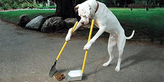 [Foto notizia in primo piano]