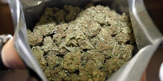 [Foto notizia in primo piano]