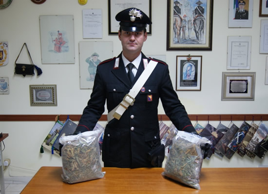 Foto n. 2
