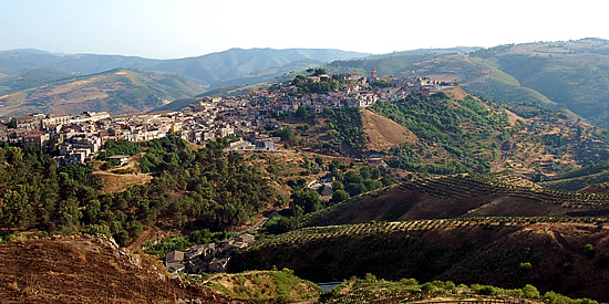 [Foto notizia in primo piano]