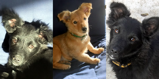 [Foto notizia in primo piano]