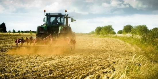 [Foto notizia in primo piano]