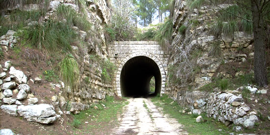 [Foto notizia in primo piano]