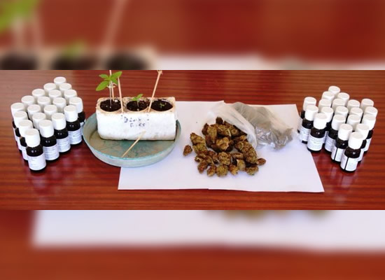 Foto n. 2