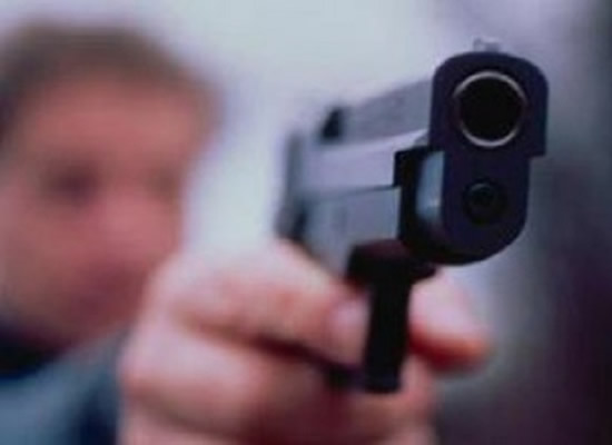 MINACCE AL VICE SINDACO | La pistola era una riproduzione di una Beretta 92. Foto n. 2