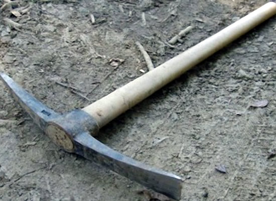 AGGREDITO DAL LADRO | Il proprietario dell'abitazione è rimasto ferito. Foto n. 2